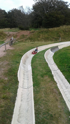 Luge D'été Col De la Schlucht