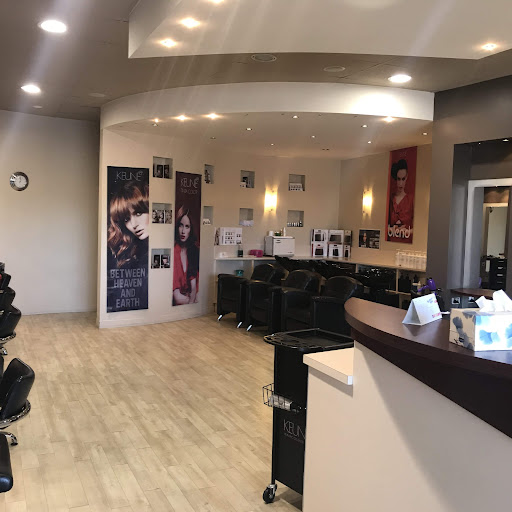 New Style Hair and Beauty Salon