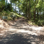 A trail intersection near Lookout Road in Blackbutt Reserve (400411)