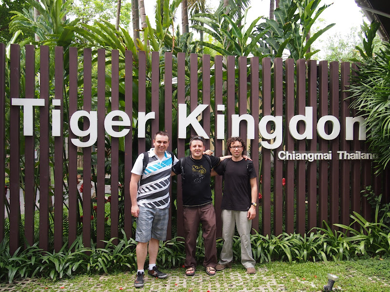 Por Tierras de Siam - Blogs de Tailandia - Chiang Mai - Tiger Kingdom / Maetaeng Elephant Park/ Wat Doi Suthep (11)