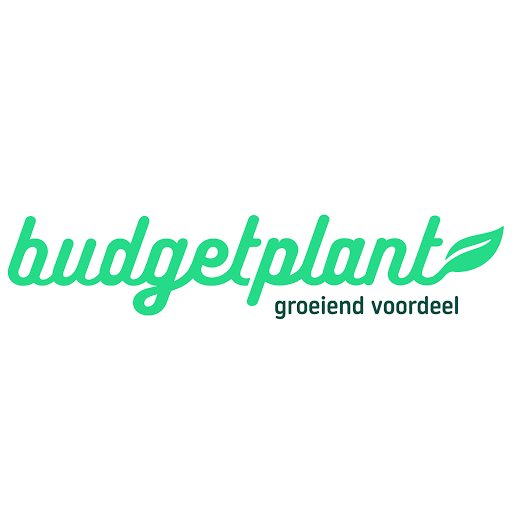 Budgetplant logo