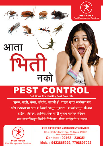 pied piper pest management services, shop no. 2 ,Gulmohar complex,Opp. sairaja hotel,, Radhika Road,, Satara, Maharashtra 415002, India, Pest_Control_Service, state MH