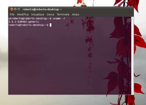 kernel 3.4.2 su Ubuntu