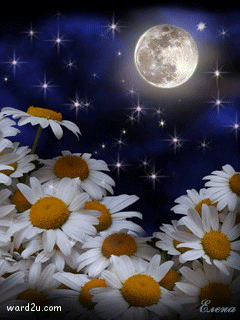 5-www.ward2u.com-luminous-flowers.gif