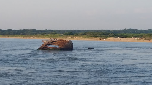 Historical Landmark «Wreck of the SS Atlantus», reviews and photos, Sunset Blvd, Cape May, NJ 08204, USA