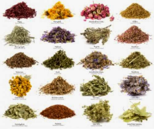 Magical Herbs In Your Wiccan Supplies