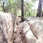 Cleft in rock on Highway Ridge track (205522)