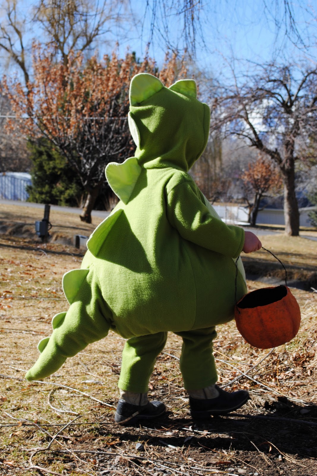 Dahlhart Lane: Dinosaur Costume
