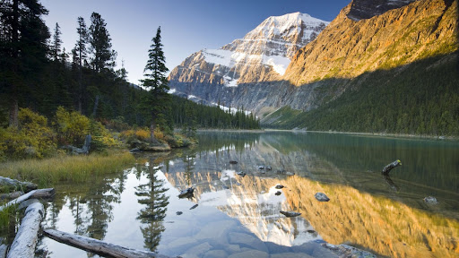 Mount Edith Cavell Reflected in Cavell Lake, Jasper National Park, Alberta.jpg