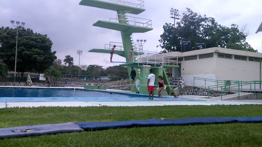 Unidad Deportiva Morelos, Blvd. Camino Real s/n, Las Víboras, Colima, Col., México, Actividades recreativas | COL