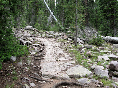 Nice sidewalk on the trail