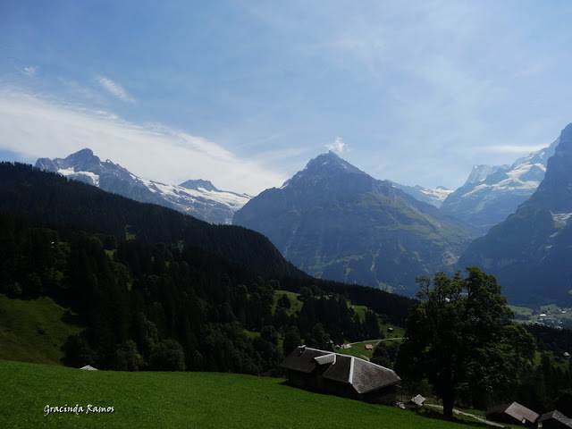 passeando - Passeando pela Suíça - 2012 - Página 13 DSC04570
