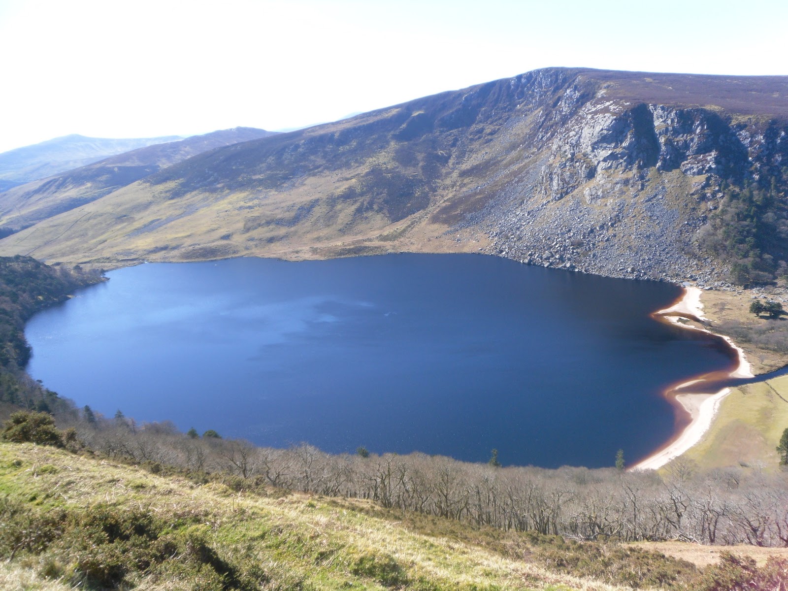 Murcia, Spain España Oro the rattlin' bog, the bog down in the