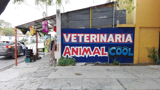 AnimalCool, Blvd.las Fuentes 202, Aztlán, 88740 Reynosa, TAMPS, México, Cuidado de mascotas | TAMPS