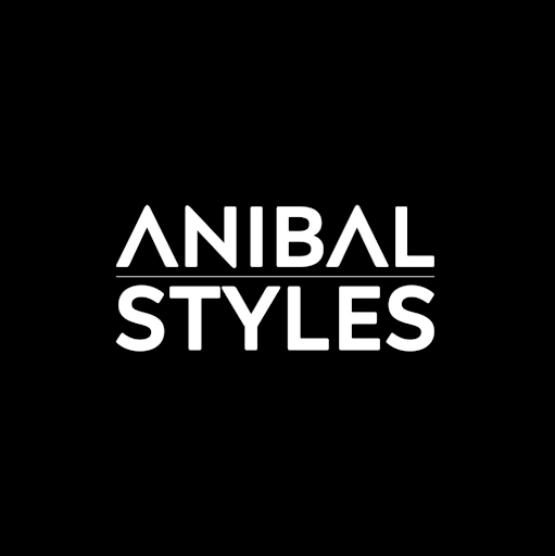 Anibal Styles logo