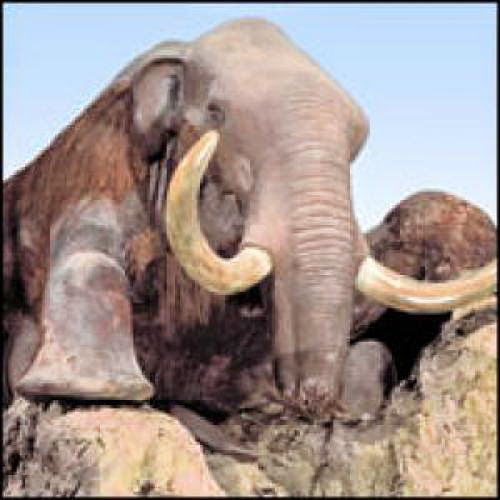 Mammoths Of The Last Polar Age