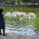 Photo de la galerie « Lodi Garden, poumon vert au coeur de Delhi »