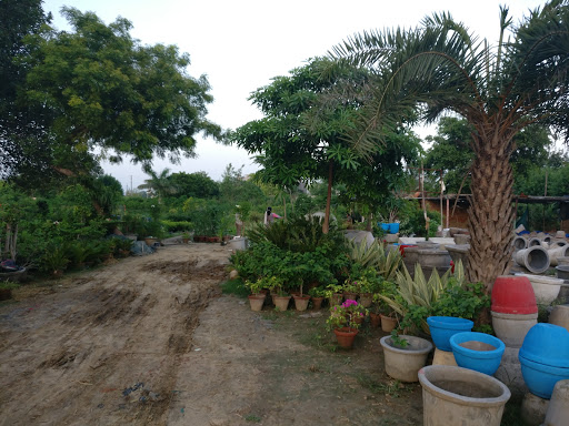Green Nursery, Tigaon Road, Chaudhary Charan Singh Marg, Indra Complex Colony, Sector 87, Faridabad, Haryana 121002, India, Plant_Nursery, state HR