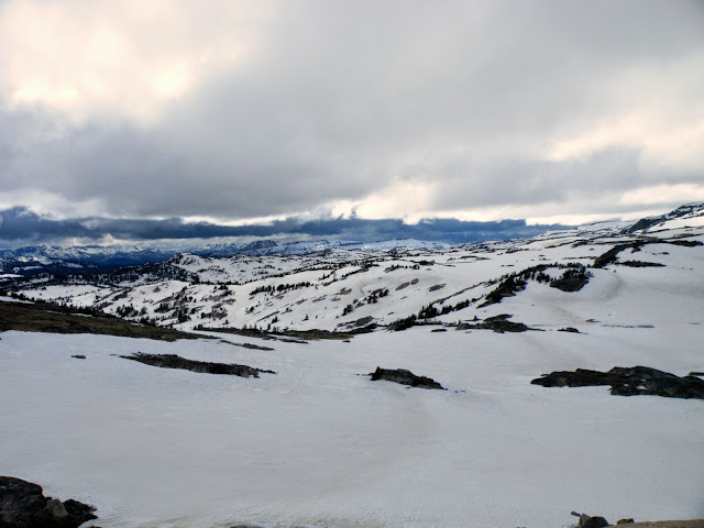 DIA-4. Mammoth Springs, Tower, Lamar, Beartooth Pass y Cody. - Los fascinantes parques del oeste americano. (25)