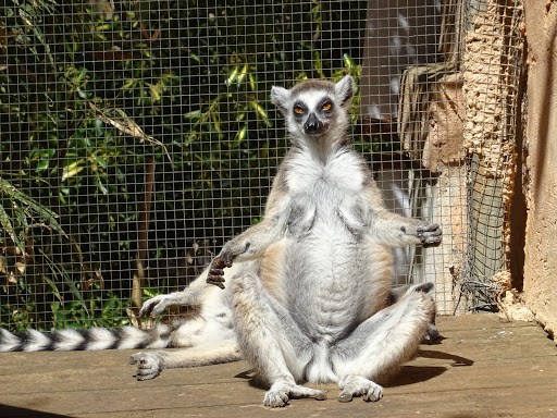 Zoologico Natura Parc