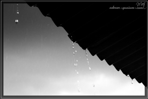 raindrops