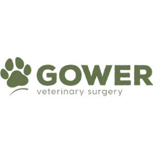 Gower Veterinary Surgery - Swansea logo