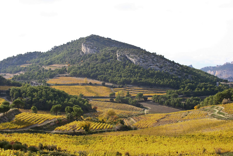 IMAGE: https://lh5.googleusercontent.com/-JwXjiZd7pbk/TsEF7f6mwPI/AAAAAAAAKjg/AXvlsheajC0/s800/IMG_0188_1.JPG