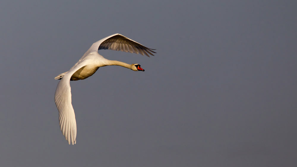 Blog Header Image
