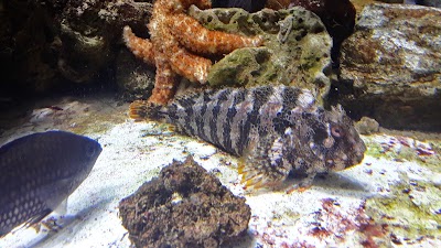 photo of Aquarium de Lyon