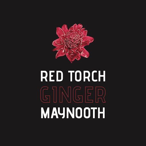 Red Torch Ginger Maynooth