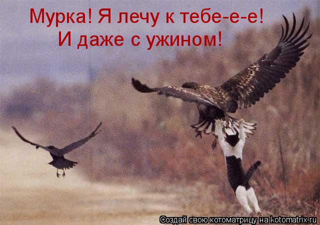 Довести до греха не обещаю, но провожу Довести до греха не обещаю, но провожу
