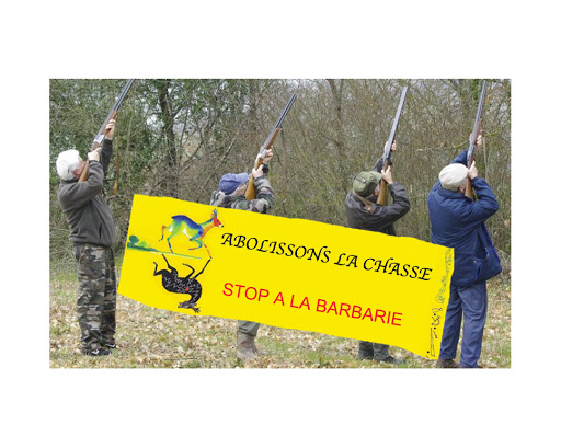Clinique Vétérinaire FamilyVets Paris 8ème - OUVERT 24H/24 DU LUNDI AU DIMANCHE