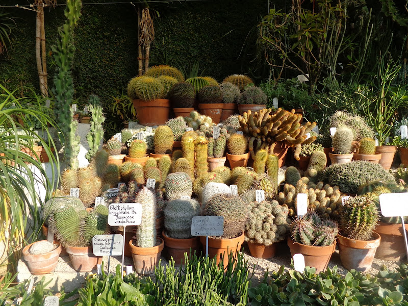 Круиз на Queen Elizabeth, 12-24 октября 2012