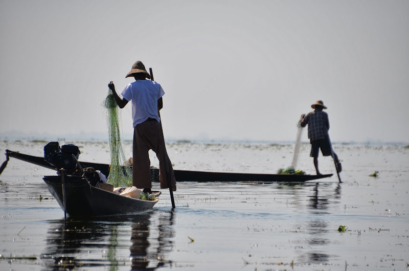 inle