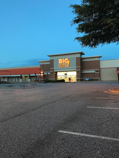 Discount Store «Big Lots», reviews and photos, 610 Holcomb Bridge Rd #300, Roswell, GA 30076, USA