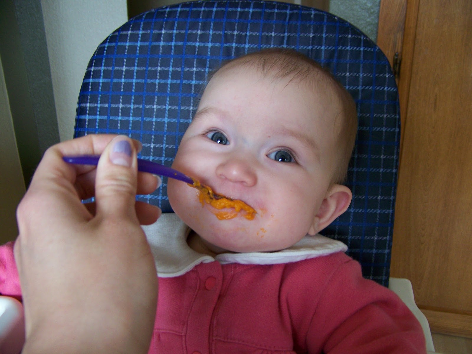 Near to Nothing Baby Food Yams, Green Beans, and Kangaroo Kisses