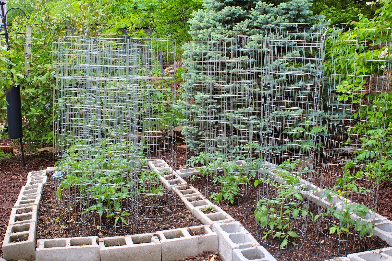 vegetable garden ideas for small spaces