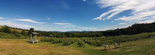 La Colline aux Bleuets