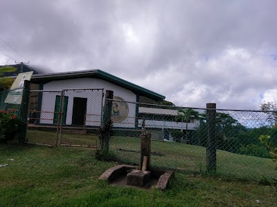 Photos of Des Barras Primary School