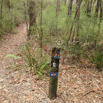 Track marker on Graves Walk (227194)