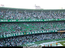 TORCIDA ORGANIZADA IMPÉRIO ALVIVERDE