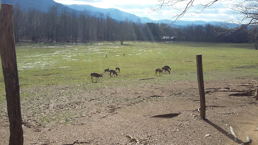 Cades Cove