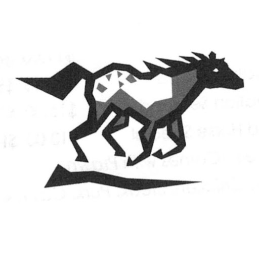 Diamond Horse Takeaways logo