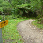 Rosemead Trail (325340)
