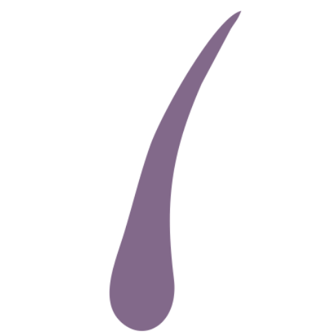 Naked Electrolysis logo