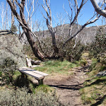 Lower rest area on the Dead Horse Gap track (83908)
