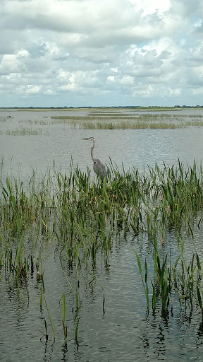 Recreation «Kissimmee Swamp Tours», reviews and photos, 4500 Joe Overstreet Rd, Kenansville, FL 34739, USA