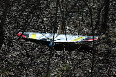 DSC_8695.JPG