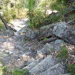 Steep track west of Joe Crafts Creek (355931)