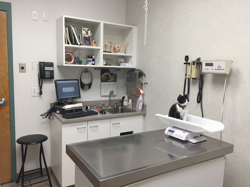 Animal Hospital «South Putnam Animal Hospital», reviews and photos